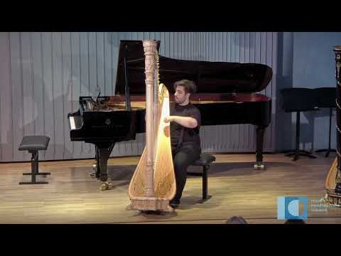 Wilhelm Posse Etude no. 7 // Maximilian Robin Treller, harp (live)
