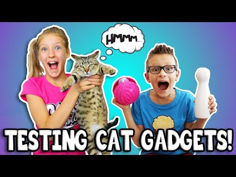 TESTING CAT GADGETS ON OUR CAT!!!