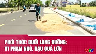 Phơi thóc dưới lòng đường: vi phạm nhỏ, hậu quả lớn