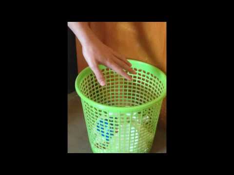 Podem evitar el desastre