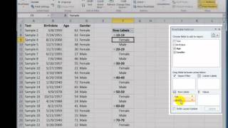 Use an Excel Pivot Table to Group Data by Age Bracket