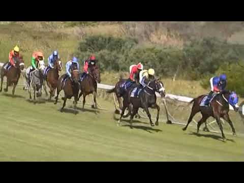 BELGARION 2020 World Sports Betting Green Point Stakes Gr2