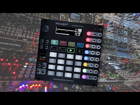 Squarp Instruments Hermod+ Modular Brain 2023 - Present - Black image 2