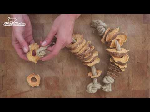 17 DIY dog toys you can make that I found (didnt make)
