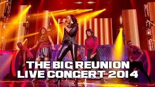 ETERNAL - DON&#39;T YOU LOVE ME &amp; POWER OF A WOMAN (THE BIG REUNION LIVE CONCERT 2014)