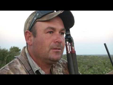 Kudu, Blesbok, and Record Book Grey Duiker Hunting   The Bond