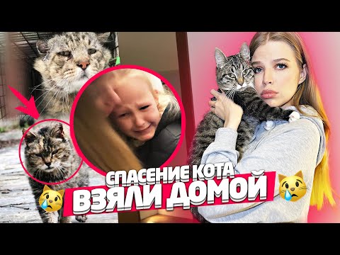 ИЗ КАНАВЫ в ПЕНТХАУС ! ВЗЯЛИ КОТЕНКА ! ТАКОЙ РЕАКЦИИ Я не ОЖИДАЛА !