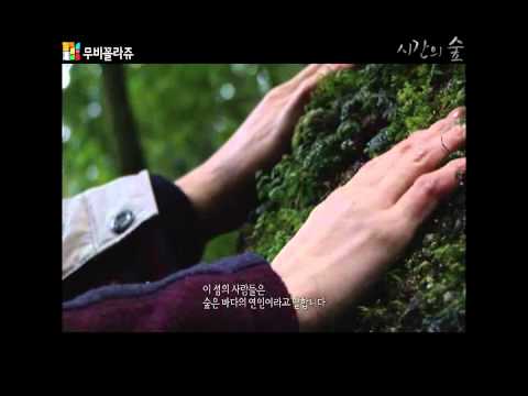 송일곤 감독의 감성다큐영화, 시간의 숲