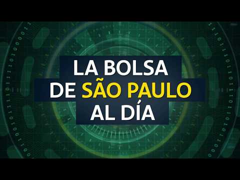 BOLSA DE SAO PAULO AL DÍA - 20 DE FEBRERO DEL 2026.