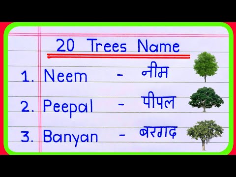 20 Trees Name in English and Hindi | Trees Name | Trees Name in English | पेड़ों के नाम