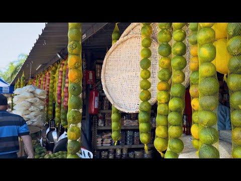 TEMPORADA DA MEXERICA -ITAUÇU GOIÁS