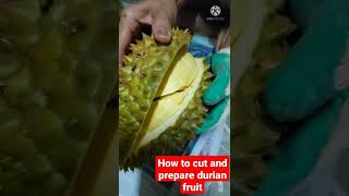 How to cut and prepare durian fruit