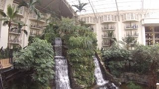 preview picture of video 'Tour of the Indoor Gardens at the Gaylord Opryland Resort, Nashville, TN'