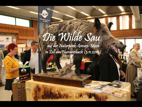 Die Wilde Sau auf der Naturpark-Genussmesse in Zell am Harmersbach