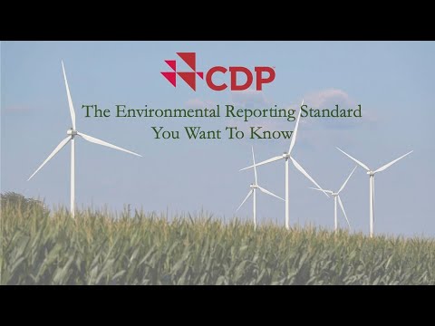 CDP: The Environmental Reporting Standard You Want to Know