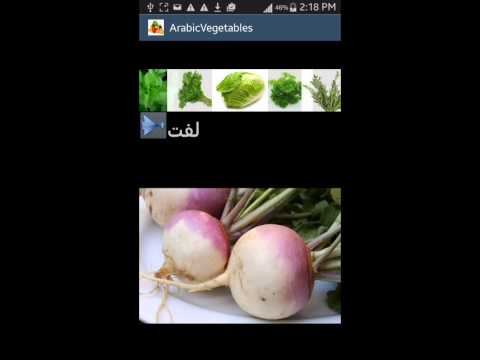 Arabic picture Vegetables Video