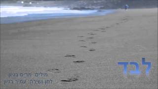 עמיר בניון
