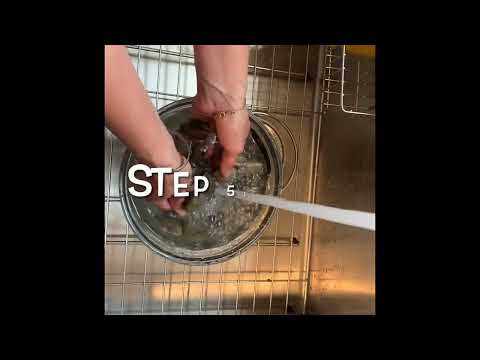 How to Store Clams
