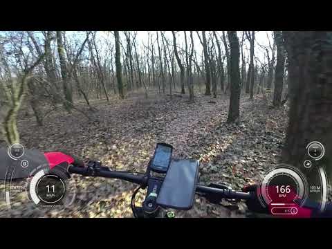 Pedalare in Padurea Verde - Ep 30 - "Tiribomba" - MTB Track Complete