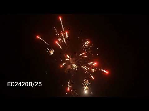 VIP2 - EC2420B - www.pyro.md