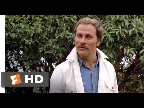 Enter the Ninja (1981) - Seeing an Old Friend Scene (4/13) | Movieclips