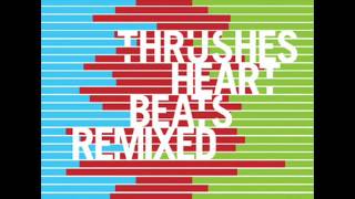 Thrushes - Heartbeats [dTheNextLevel Mix]