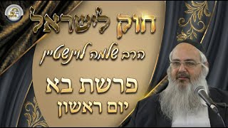 חוק לישראל - פרשת בא - יום ראשון | הרב שלמה לוינשטיין (ארגון קול הלשון) - התמונה מוצגת ישירות מתוך אתר האינטרנט יוטיוב. זכויות היוצרים בתמונה שייכות ליוצרה. קישור קרדיט למקור התוכן נמצא בתוך דף הסרטון
