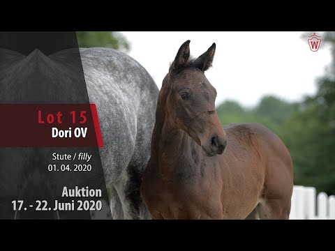 15 Dori OV Stute v. Diamant de Casall - Diamant de Semilly