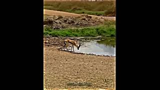 Download lagu https://vm.tiktok.com/ZS2DUKBeP/ This post is shared via TikTok Lite. Download YouTube mp3