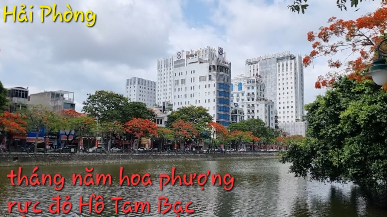Embark on a walking tour along the Tam Bac Lake.