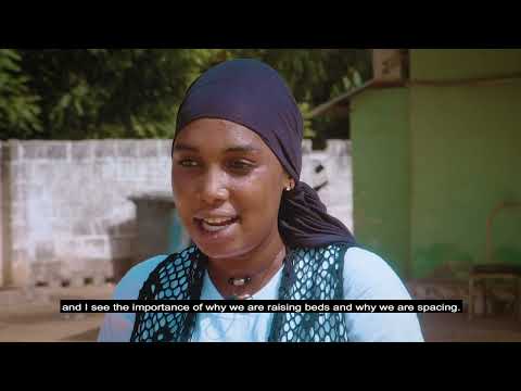 Entrepreneurship Training | IMVF | #TekkiFii​​​​​​ – Make it in The Gambia