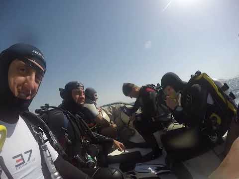 Woodhouse Reef - Mar Rosso