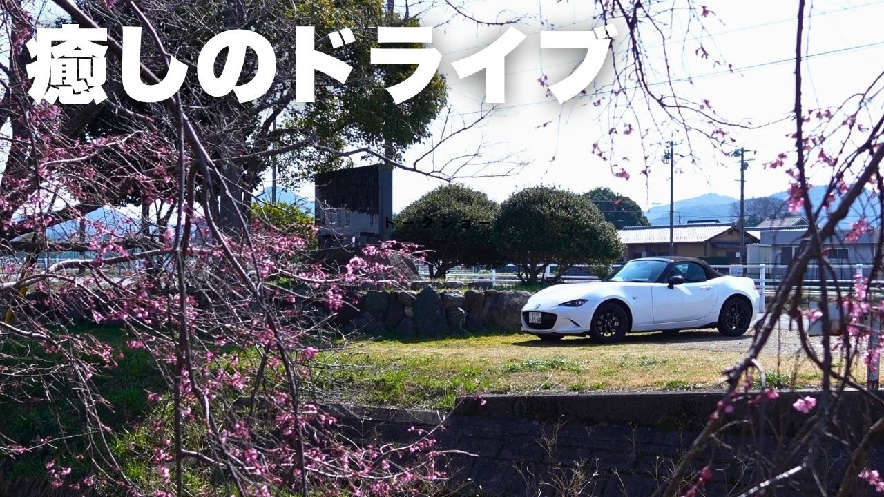 【癒し】何も考えず走るだけで幸せな春の日