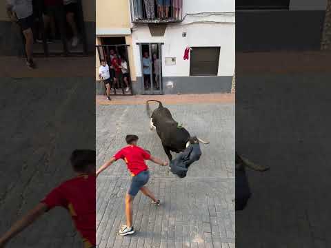 ¡Toro cerril en Useras! (¡Espectacular!) #toros #useres #bull #toro