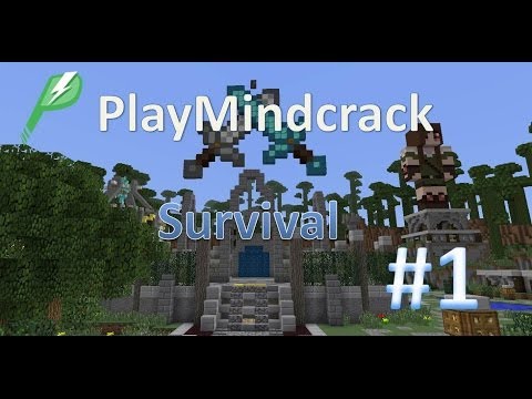 Play Mindcrack - Survival