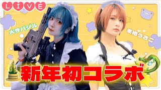 【Live】新年初コラボ?火寺バジル×来栖うさこ【雑談生配信】