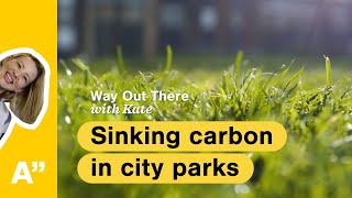 Newswise:Video Embedded how-cities-can-transform-urban-green-spaces-into-carbon-sinks-expert-available-to-comment-on-lessons-learned-from-helsinki-pilot