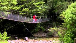 preview picture of video 'Pine Valley Stream Swing Bridge'