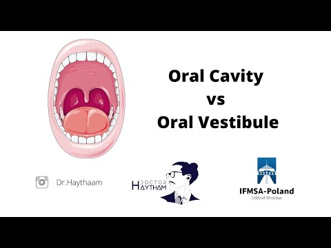 Oral cavity & oral Vestibule | Dissection room 1 | Anatomy