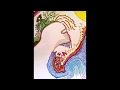 Chai Chamber Of Reflection Mac DeMarco Cover 2015