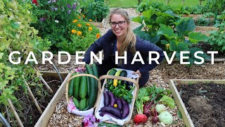 Come Along for a July Garden Harvest