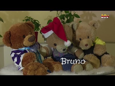 „Teddybärenmama“ Helga Leitner aus dem Metnitztal besitzt in ihrer Sammlung 401 Teddys!