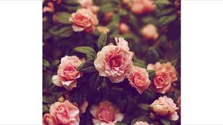 Donny - Flexin'' On That Bitch.