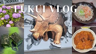 【福井Vlog】名物グルメ食べ歩き！母と２人旅🦖🤍