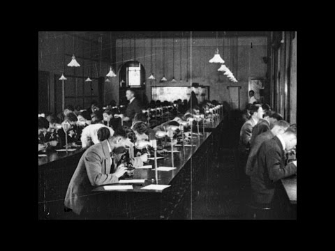 After One Hundred Years : [incomplete] (1927)