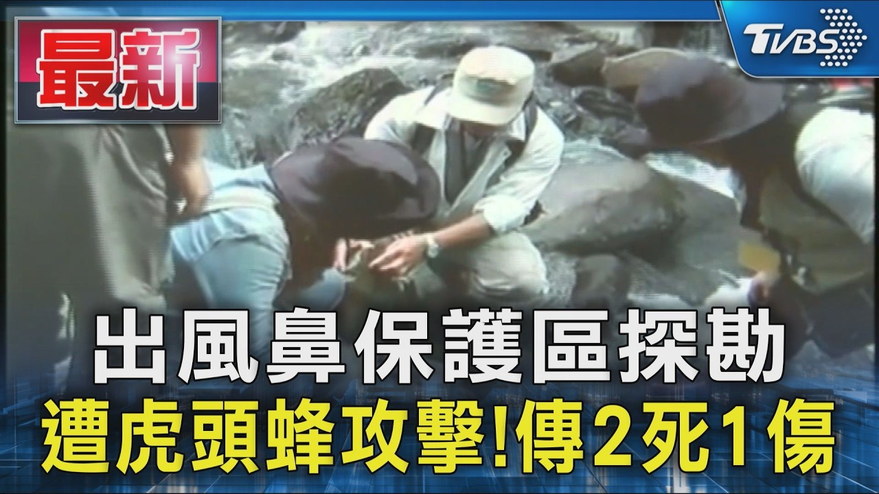 出風鼻保護區探勘 遭虎頭蜂攻擊!傳2死1傷|TVBS新聞 @TVBSNEWS01