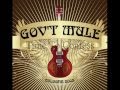 Gov't Mule- Time To Confess