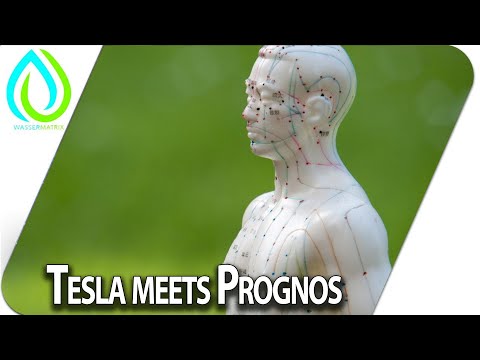 Tesla meets Prognos - im Gespräch mit Marko Tuntsch und Arthur Tränkle