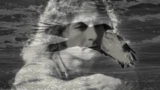 Gene Clark - Silver Raven (acoustic) [previously unreleased, 1974]