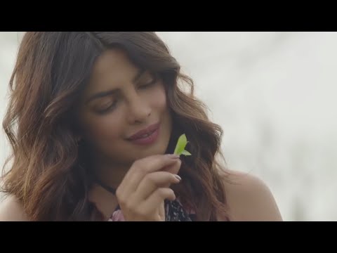 download lagu mp3 mp4 Priyanka Assam, download lagu Priyanka Assam gratis, unduh video klip Priyanka Assam